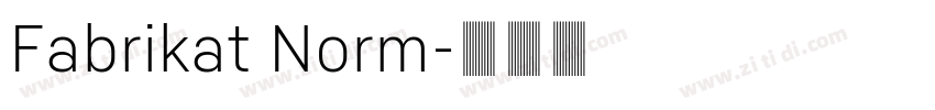 Fabrikat Norm字体转换